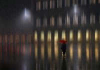 504 - IN THE RAIN - GILSON GUY - belgium <div